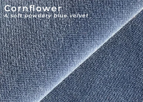 Cornflower-velvet