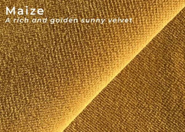 Maize